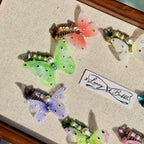 Butterfly Grooming & Decorative Clip