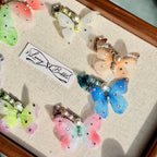 Butterfly Grooming & Decorative Clip